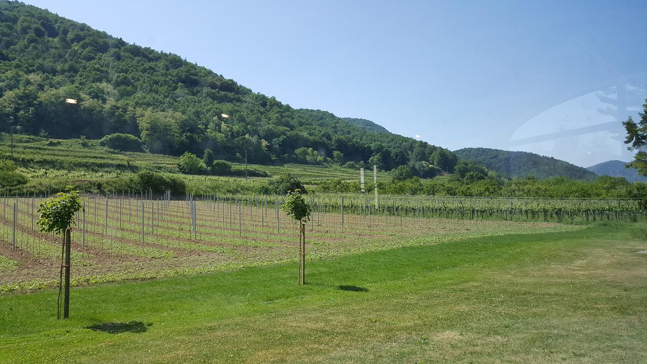 Gasthof Zur Wachau Hofarnsdorf Ngoại thất bức ảnh